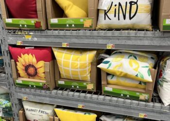 Hauptstützen reversible Out of doors -Kissen nur 3 $!